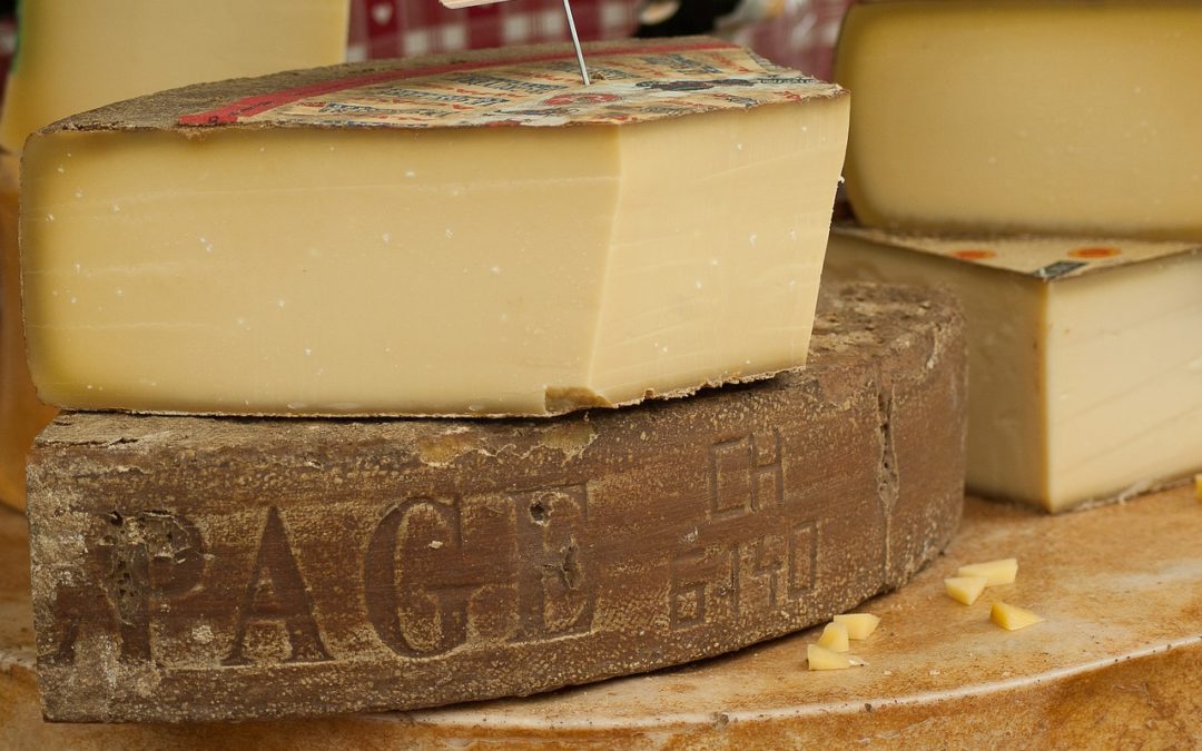 fromage, étale de fromager